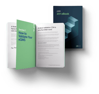eQMS-201-eBook (1)